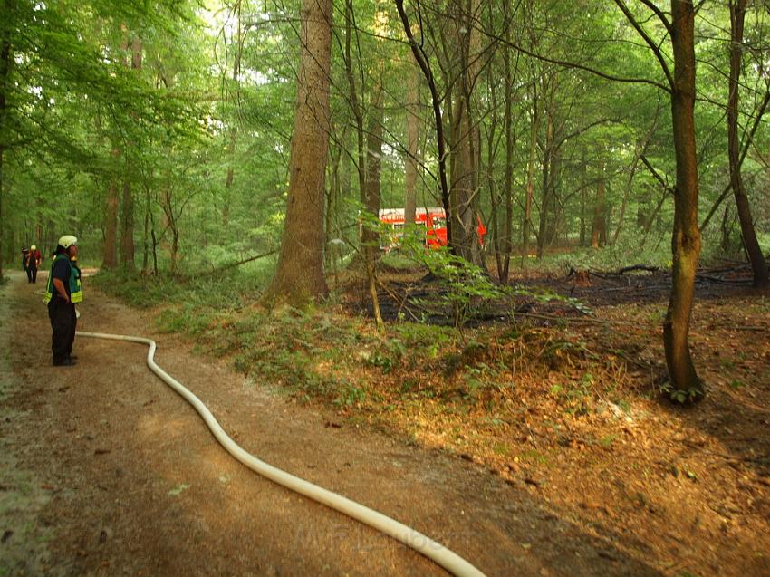 Waldbrand Bergisch Gladbach Bensberg P028.JPG